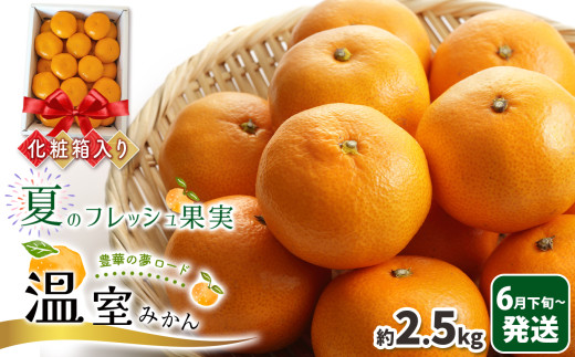 しろたミカン様 リクエスト 10点 まとめ商品 sd1_93eae0c515bacfcdeee4684297