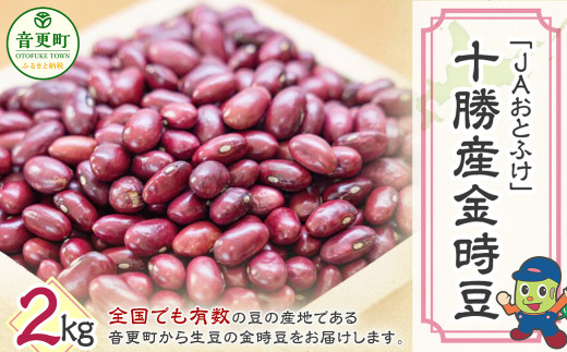 令和7年産】 金時豆2kg「JAおとふけ」【B14】 - 北海道音更町