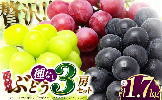 2026年発送】先行受付 信州産 シャインマスカット・ナガノパープル