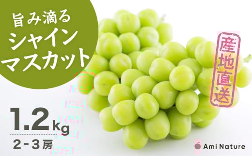 sd1_b75ef642583585d4bbd446f316