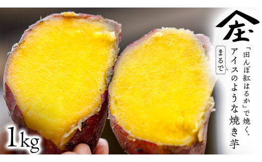 sd1_ccca1b0d97279f041b8a0df891