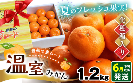 温室みかん 『豊華の夢ロード』 約1.2kg 化粧箱入り | 果物 くだもの
