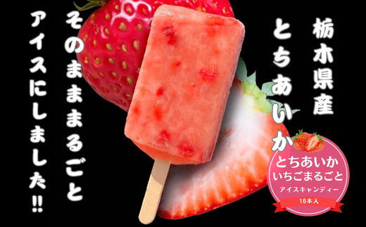※アイティー農園出品※ オレンジピタヤ１０株セット アイティー農園出品※ オレンジピタヤ10株セット orange