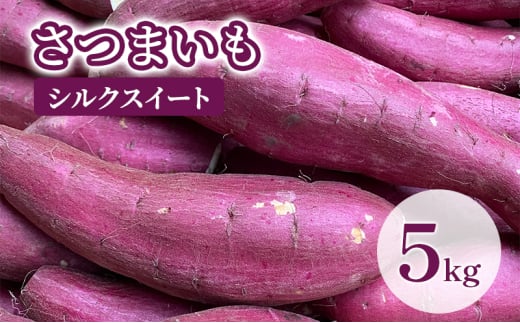 ytcsz[5904-0584]y󂠂z܂5kgiVNXC[gj Tc}C F Ă ₫ LC VՂ w  XC[c XC[g|eg _ Yn c