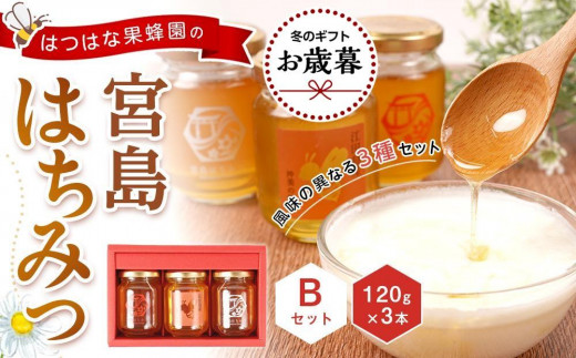 yLsszyΕMtg/ltz͂͂ȉʖI̋{݂͂Zbg B