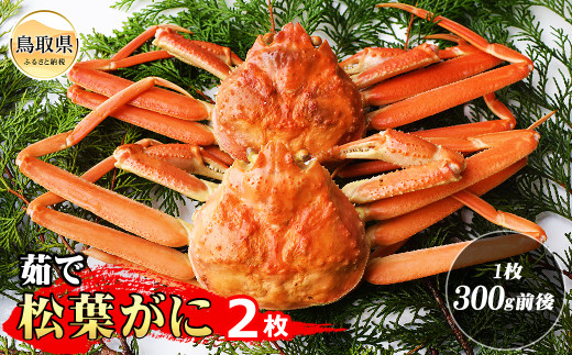 y挧zD24-117 䥂ŏtKj 2i1300gOjyԌz 挧  {C t YCKj