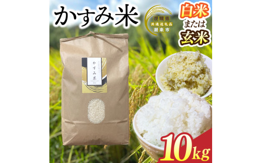 ⑤ 新米 潮来市 玄米30kg 8000円 - 食品