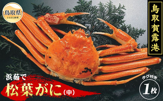 y挧zE25-025 iΕpjI`@l䥂ŏtɁijyԌz 挧  {C ^Ot l䥂   Kj I tKj YCKj