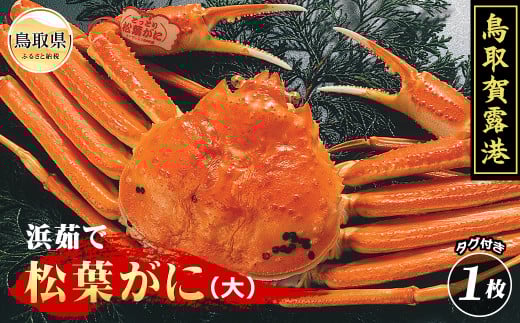 y挧zE25-027 iΕpjI`@l䥂ŏtɁijyԌz挧  I` {C ^Ot l䥂   Kj I tKj YCKj