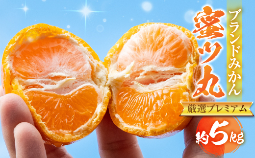 ymLszs\₱薨 c Iv~A 5kg  M[ }J| ݂ ݂ ݂ ~J mikan 