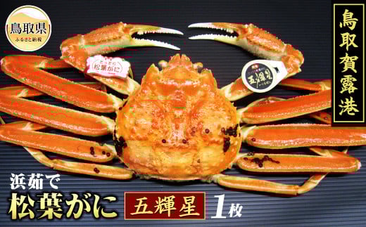 y挧zF25-024 iΕpjI`@l䥂ŏtɁ@܋PyԌz 挧  I` {C l䥂   Kj I tKj YCKj