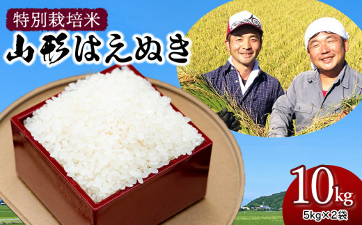 令和7年産先行予約】特別栽培米 山形はえぬき精米10kg(5kg×2袋) 山形県鶴岡市産 鶴岡ファーマーズ - 山形県鶴岡市｜ふるさとチョイス -  ふるさと納税サイト