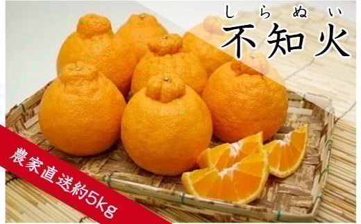 ya̎RLcszsm΁iʂj(A68-1)