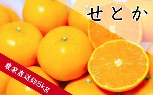 ya̎RLcszƂi5sj(A139-1)