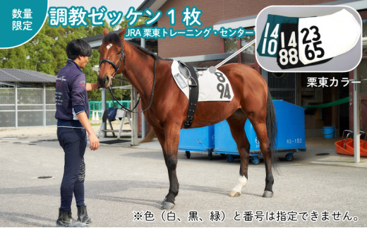 JRA/日本中央競馬会】調教用ゼッケン1枚 栗東カラー【数量限定】 - 滋賀県栗東市｜ふるさとチョイス - ふるさと納税サイト