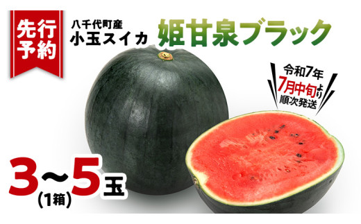 姫甘泉小玉スイカ9玉 スイカ』入荷しました💁‍♀️ 左:茨城県産《紅こだま》🍉 右:姫