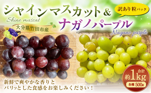 数量限定】粒パック 訳あり シャインマスカット（約500g）&ナガノ