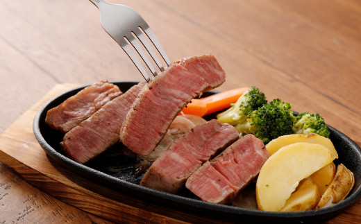 3か月定期便】 熊本 あか牛 ヒレ肉 約3kg (約150g×15枚~18枚 3か月定期便】 熊本 あか牛 ヒレ肉 約3kg (約150g×15枚~18枚