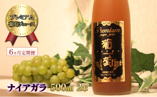 ykCmؒz6  v~AW[XyiCAKz500ml×2{ ϔ Ԃǂ uhE W[X  ʕ  t[c  [Jirt@[]