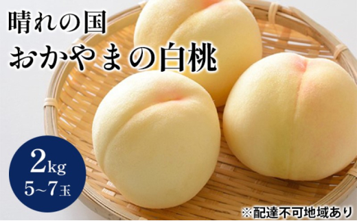 yRsz[5615-0632] y2026N s\z ̍    2kg(5`7)   RY Y t[c ʕ Mtg