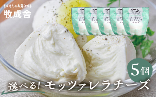 y򕌌ˎszy2zĂ˂ɍtbVbc@`[Y5 bc@`[Y `[YZbg ①   pX^ sU O T_ ቷE i