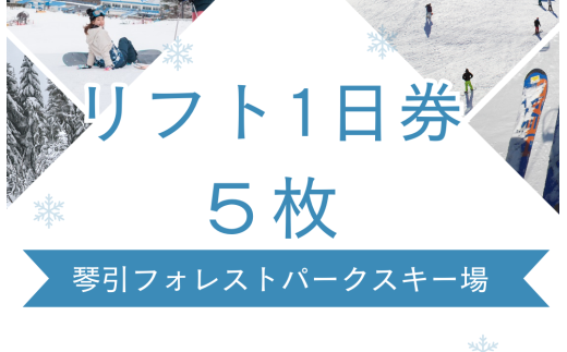 yѓ쒬z2025-2026ՈtHXgp[NXL[ꃊtgP@Ty  ѓ쒬 SҌ ㋉Ҍ AEghA EB^[X|[c XL[ Xm[{[h Xm{[ ̌^