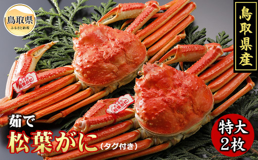 y挧zF24-007 挧Y@䥂ŏt2yԌz 挧  {C t YCKj