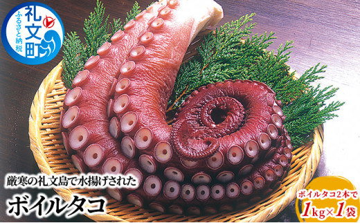 ykC當zkC 當Y {C^R 2{1kg×1 