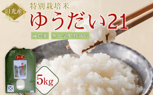 yȖ،szߘa7NY ʍ͔| 䂤21@5Kg |  _ w엿͔| Ȗ، s