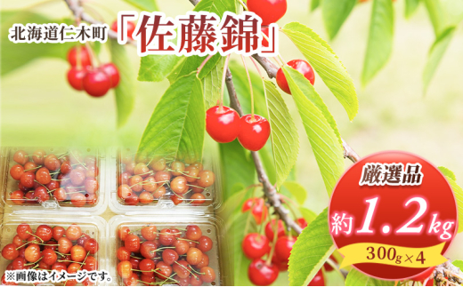 ykCmؒzst kC mؒY   1.2kg (300g×4pbN) LTCYȏ {  Yn TN{ `F[ t[c ʕ ʕ mؒ m [RX]