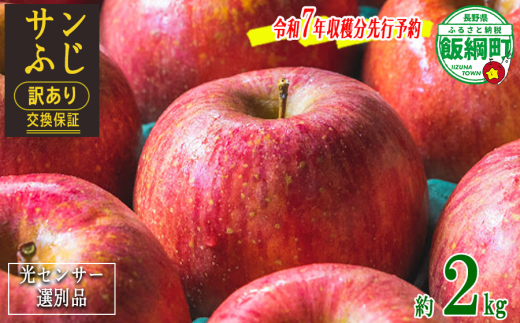 りんご グラニースミス 特選 3kg やまじゅうファーム 沖縄県への りんご グラニースミス 特選 3kg やまじゅうファーム 沖縄県への
