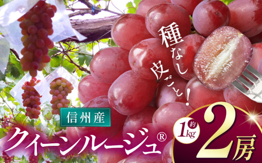 sd1_7566089e21b2ea19ec64a2fb3d