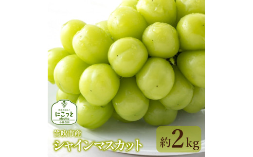 346【島根県産】シャインマスカット約2キロ(3〜5房) 303【島根県産