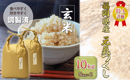 玄米 10kg 元気つくし 福岡県産 特A評価 お米 5kg×2袋 米 コメ