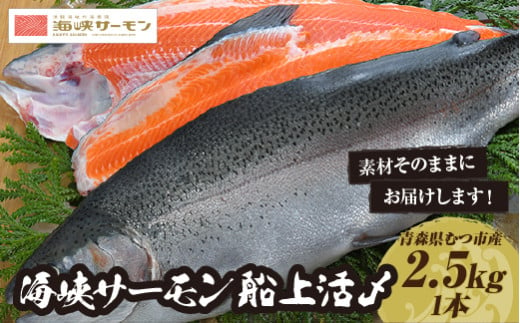 2025年6月下旬発送】海峡サーモン 活〆お刺身さく2本 800g - 青森県むつ市｜ふるさとチョイス - ふるさと納税サイト