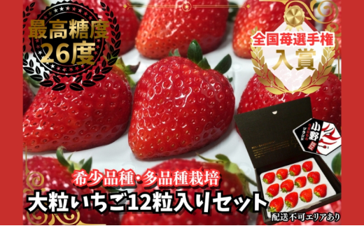 yɌszy\tz嗱 12Zbg 2026N1ȍ~\[  C`S  t[c ʕ VN x ] ʕ