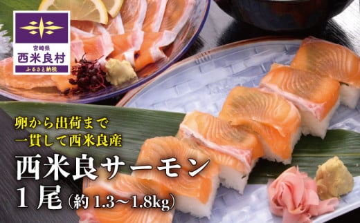 y{茧ėǑzėǃT[ 1@ CN T[  hg S lC ӂ邳 CNHi    Jpb` }l S {茧 ėǑ