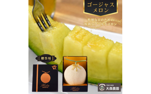 メロン 4562220180017_4.jpg