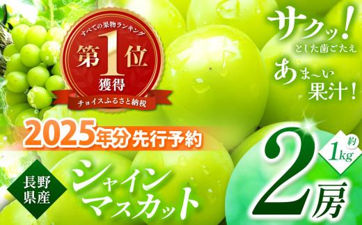 2025年 先行予約】 シャインマスカット 2房 | シャイン ぶどう 葡萄 ブドウ くだもの 果物 フルーツ マスカット しゃいん ますかっと 先行  先行予約 旬 塩尻市 長野 信州 - 長野県塩尻市｜ふるさとチョイス - ふるさと納税サイト