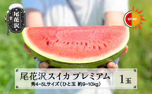 先行予約 尾花沢スイカ 4〜5Lサイズ(約9〜10kg)×1玉 プレミアム
