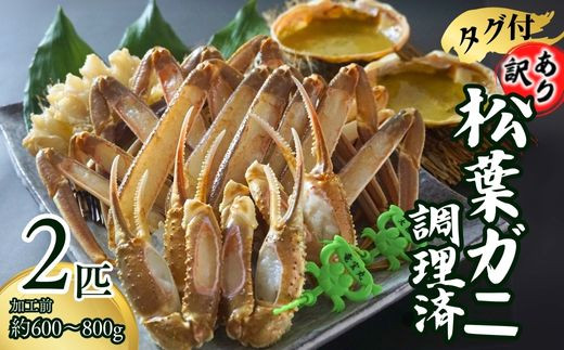訳あり 松葉がに タグ付き 調理済（調理前600～800g）2匹入 兵庫県