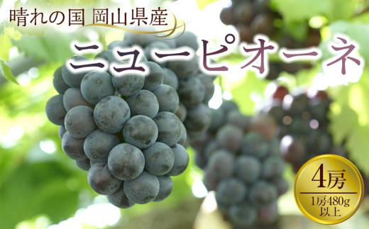 yRRszԂǂ 2026N RY j[sI[l4[(1[480gȏ)