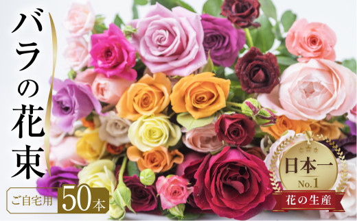 ymcszyʌzo ԑ 60{ `[~O[Y  ( 󂠂 KiO p ) KN   m cs