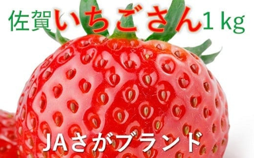 佐賀県産いちご】大島さんが育てた「いちごさん」4パック - 佐賀県NPO