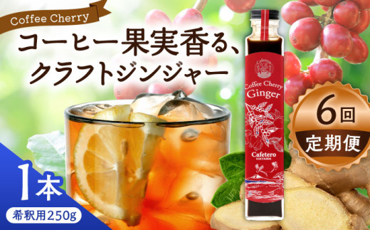 y_ސ쌧tRzyS6ցzJtFe[tR@R[q[`F[WW[@250g×1{ / R[ GiW[hN _ R[q[  _ސ쌧 tR NtgR[ VR hN Y