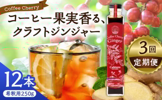 y_ސ쌧tRzyS3ցzJtFe[tR@R[q[`F[WW[@250g×12{ / R[ GiW[hN _ R[q[  _ސ쌧 tR NtgR[ VR hN Y