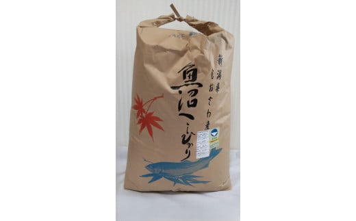 yV싛szyߘa7NVāzVFؓʍ͔|ċYRVqJ30kg