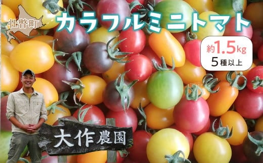 ykCs˒z2026N7{肨͂kCsˎY _̃Jt~jg}g1.5kg(5ȏ) y ӂ邳Ɣ[ lC  LO g}g Ƃ܂ ~jg}g ACR 