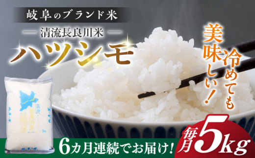 【岐阜県岐阜市】【6回定期便】【11月発送】【R7年産】岐阜 ハツシモ 5kg 名水 100選に選ばれた 長良川 中流の水で育った 「清流長良川米」 すし飯 冷めても美味しい 米 岐阜市 / 森ライス [ANCU