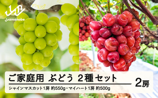 ふるさと納税】先行予約 ぶどう シャインマスカット 約550g マイハート 